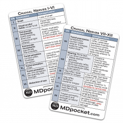 Rapid ID - Cranial Nerves